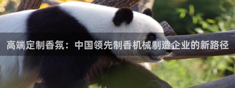 娱乐风暴二