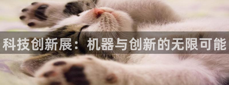 风暴大厅娱乐