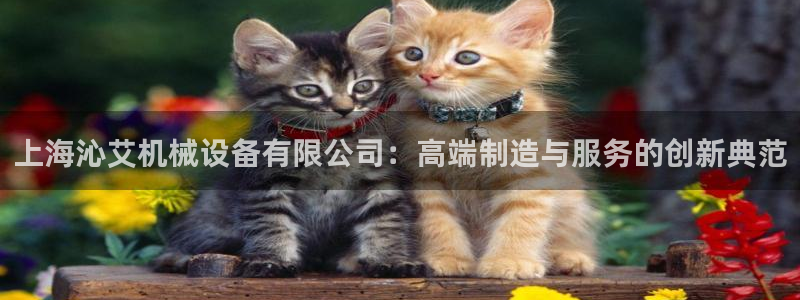 风暴娱乐有5指尖