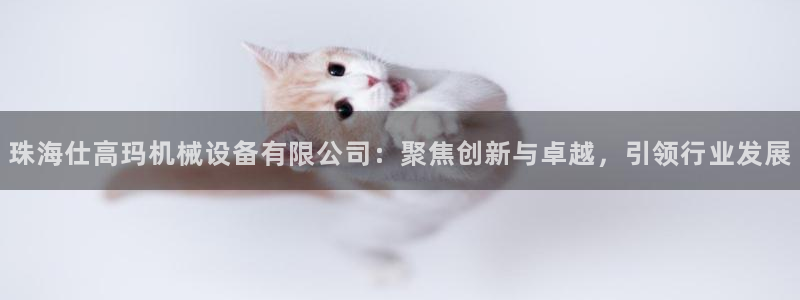 风暴娱乐部