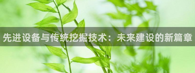 风暴娱乐5O6917