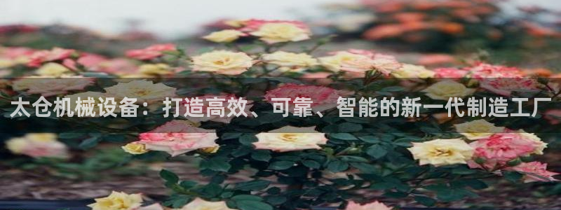 娱乐风暴App