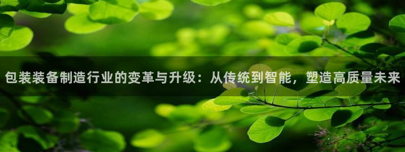 风暴数字娱乐