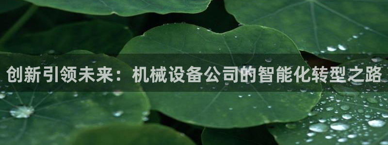 风暴娱乐5O6917