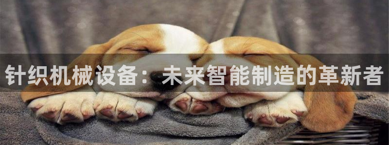 风暴娱乐点