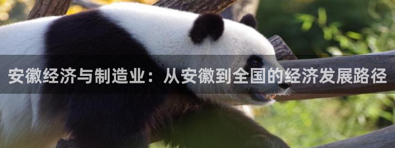 风暴娱乐右5指尖