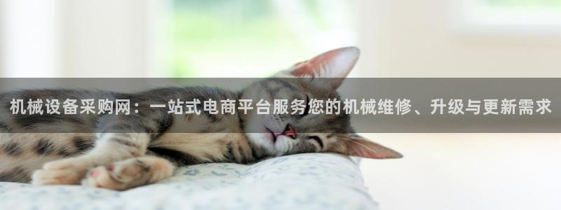 风暴娱乐棋牌