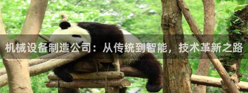 风暴娱乐地5指尖