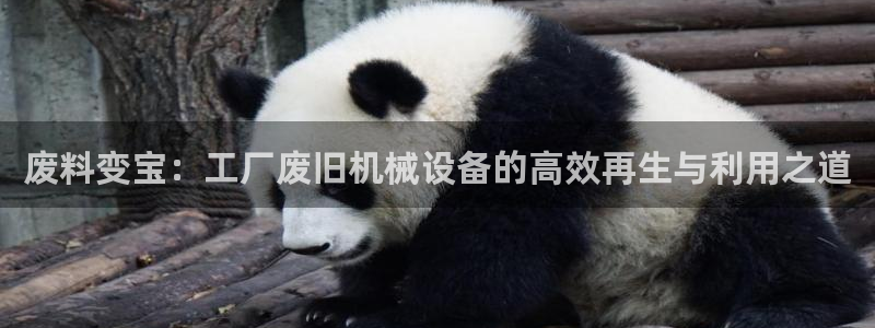 4120051风暴娱乐