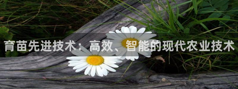 风暴娱乐 北京