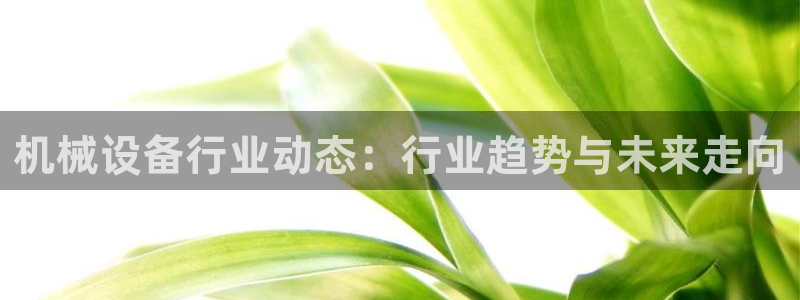 风暴官方娱乐