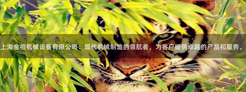 风暴娱乐5O6917