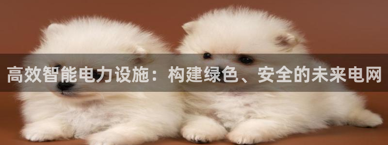 风暴娱乐字图片大全